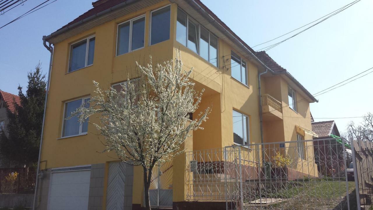 Casa Salin Hotel Turda Exterior photo